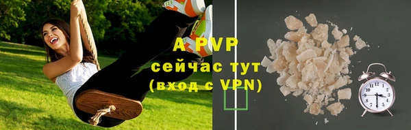 дживик Няндома