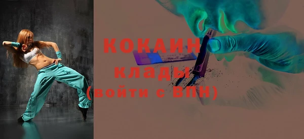 дживик Няндома