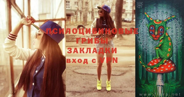 стафф Арсеньев
