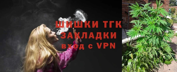 стафф Арсеньев