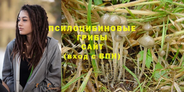 таблы Аркадак
